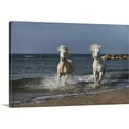 thumbnail image 1 of Great Big Canvas "The White Horses of the Camargue running in the water in the South of France"  by Scott Stulberg Dark Gray    Wrapped Canvas Print Wall Artwork, 1 of 7