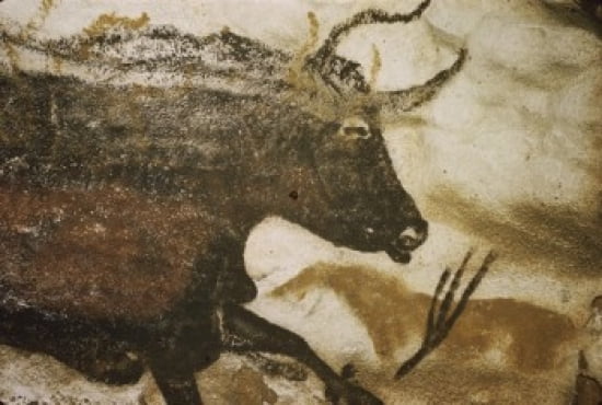 Great Black Bull Prehistoric Art Lascaux Caves France Canvas Art -  (18 x 24)