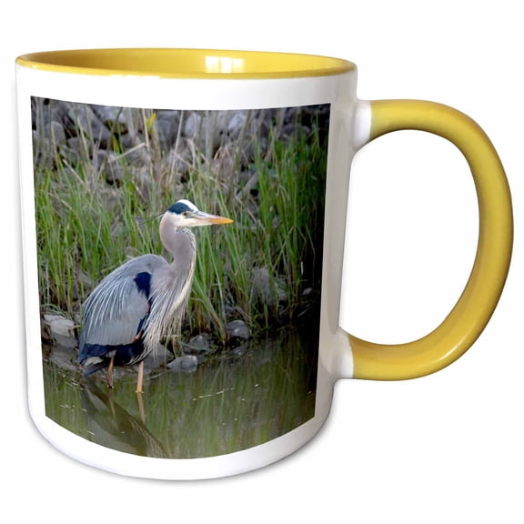 3drose, Great Blue Heron Bird Maumee Bay Refuge, Ohio - Us36 Dfr0038 - David R. Frazier, 11oz Two-tone Yellow Mug