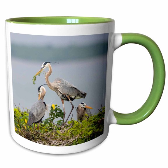 3drose, Great Blue Heron Building Its Nest., 11oz Two-tone Green Mug