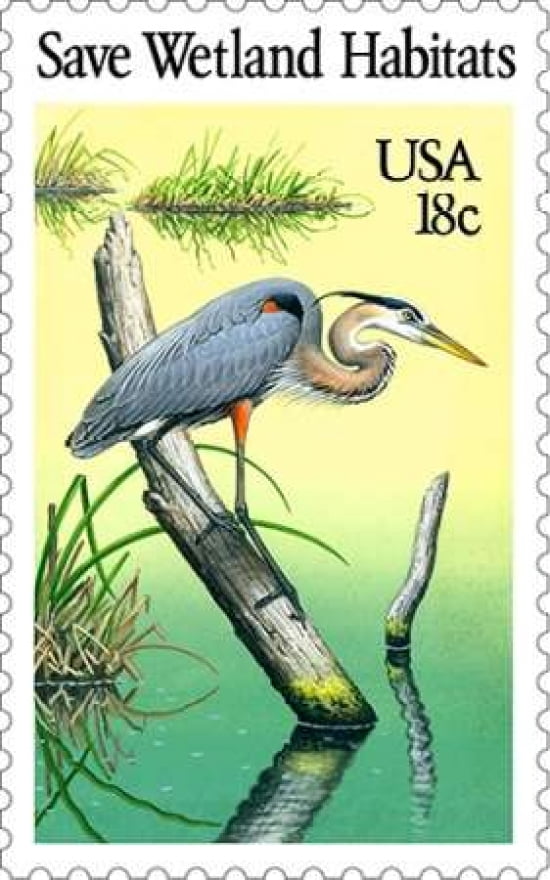 Great Blue Heron Canvas Art - US POSTAL SERVICE (24 x 36)