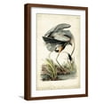 thumbnail image 1 of Art.com Great Blue Heron Art Print by John James Audubon, Brown Frame Wall Art, 17" x 23", 1 of 5