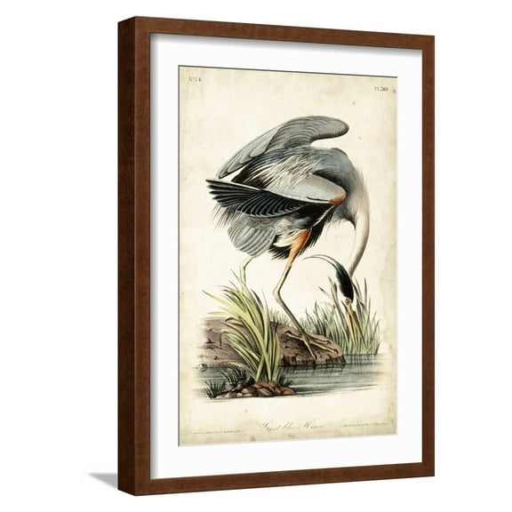Art.com Great Blue Heron Art Print by John James Audubon, Brown Frame Wall Art, 17" x 23"