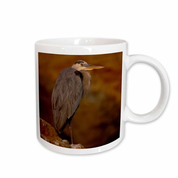 3drose, Great Blue Heron, Tagus Cove, Galapagos Islands - Sa07 Pox0351 - Pete Oxford, 11oz Mug