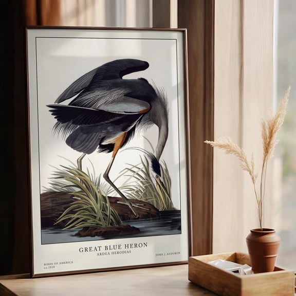 Great Blue Heron Vintage Bird Natural History Accent Bird Lover Wildlife Nature Wall Art Unframed Paper Print