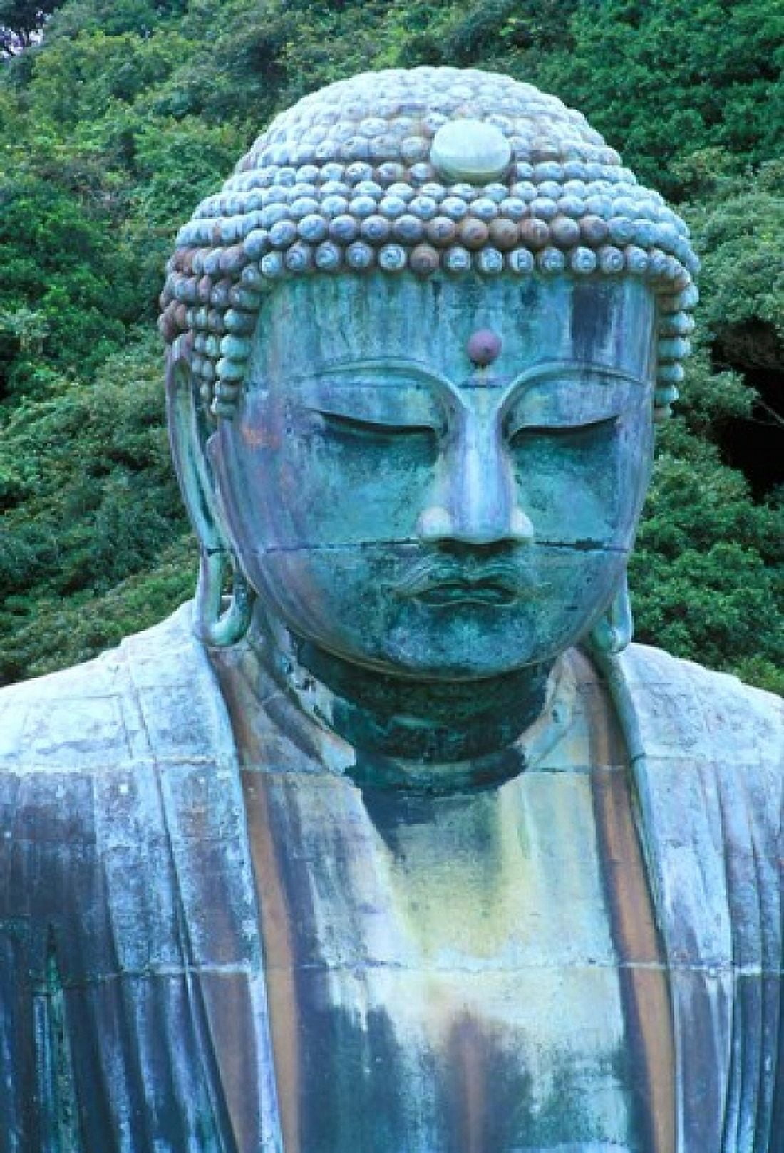 Great Buddha Detail Kotokuji Temple Kamakura Japan Canvas Art - Rob Tilley DanitaDelimont (15 x 22)