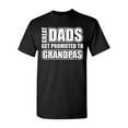 thumbnail image 1 of Great Dads Get Promoted To Grandpas Funny Adult T-Shirt Tee, 1 of 2