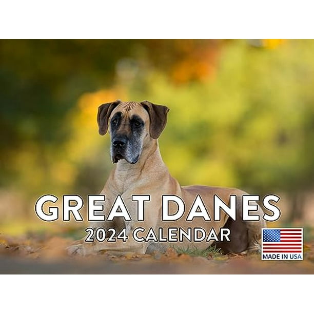 Great Dane Calendar 2024 Calander