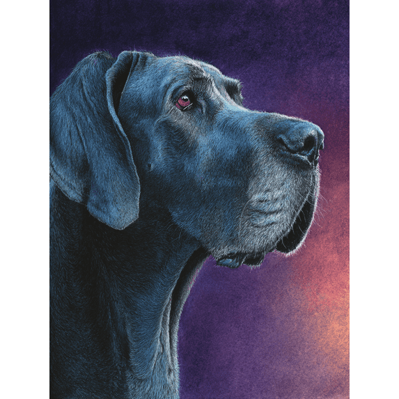 Great Dane Dog Portrait Canvas Wall Art Home Decor Pet Lover Gift for Living Room Bedroom Apartment