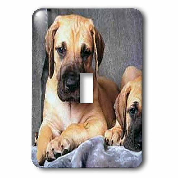 3dRose, Great Dane, single toggle switch