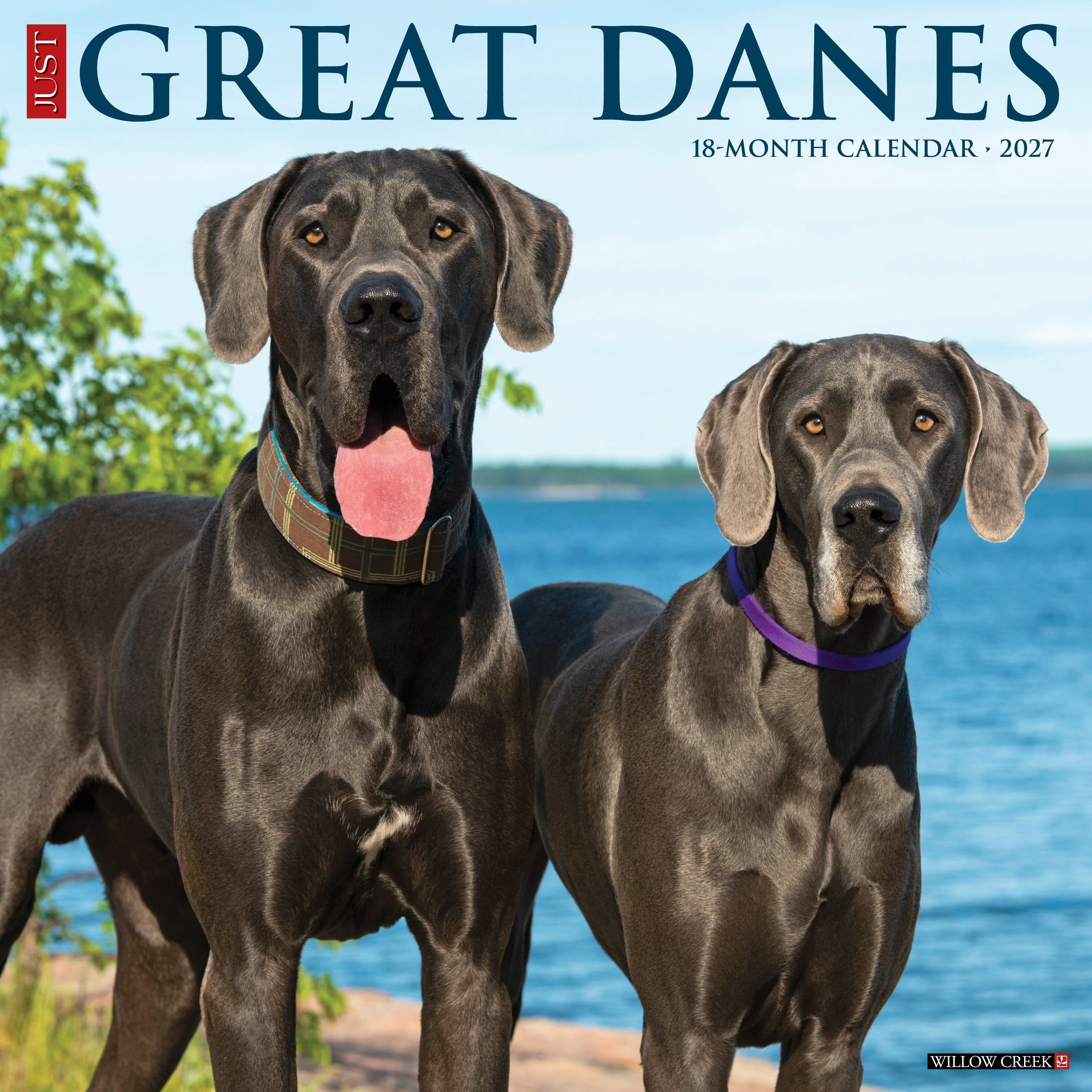 Willow Creek Press, Great Danes 2027 Wall Calendar
