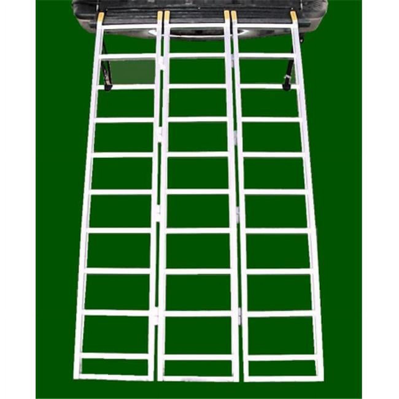 Great Day LoadLite TriFold Long Aluminum Loading Ramps