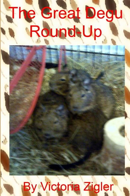 Degu Days Duo The Great Degu Round-Up, Book 1, (Paperback) - Walmart.com