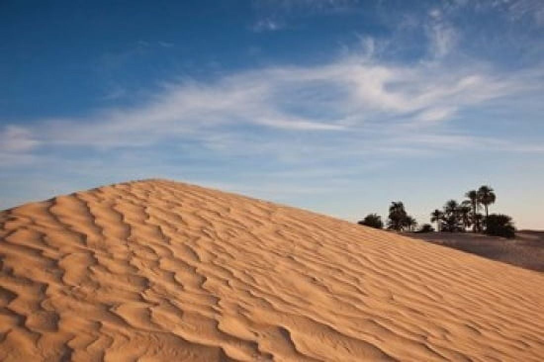 Great Dune Tunisia Canvas Art - Walter Bibikow DanitaDelimont (24 x 15)