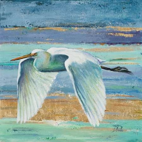 Great Egret II Canvas Art - Patricia Pinto (24X24)
