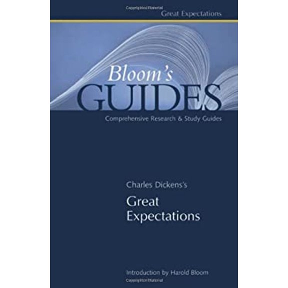 Pre-Owned Great Expectations (Hardcover) 9780791081686