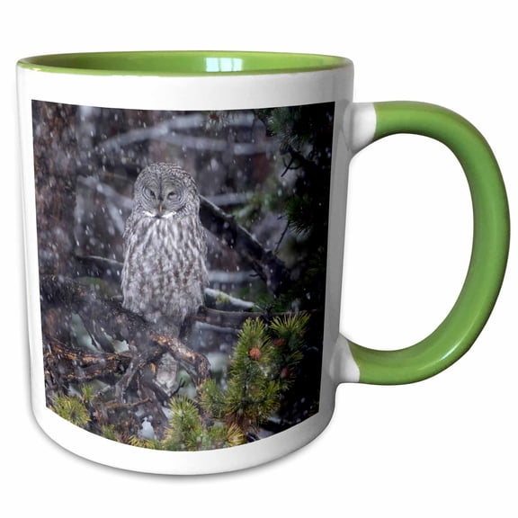 3drose, Great Gray Owl in Snowstorm, Yellowstone Np, Wyoming, 11oz Two-tone Green Mug