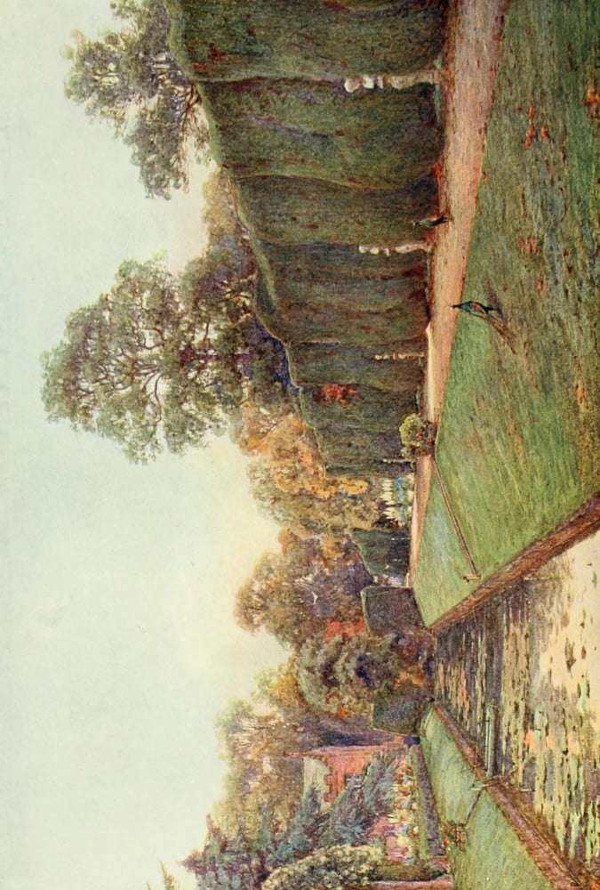 Great Hedge at Campsea Ashe (Gardens of England in the Midland & Eastern Counties 1908) Canvas Art - Ernest A Rowe (18 x 24)