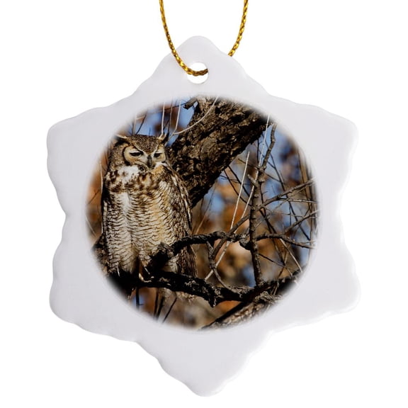 3drose, Great Horned Owl Bird, Willow Tree, New Mexico, Usa - Us32 Ldi0035 - Larry Ditto, 3 inch Snowflake Porcelain Ornament