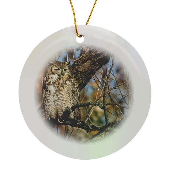 3drose, Great Horned Owl Bird, Willow Tree, New Mexico, Usa - Us32 Ldi0035 - Larry Ditto, Circle Porcelain Ornament