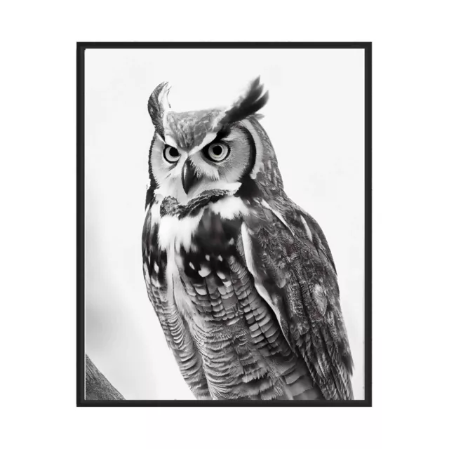 Great Horned Owl Black And White Animal Photo Art Print Poster Wall Art ...