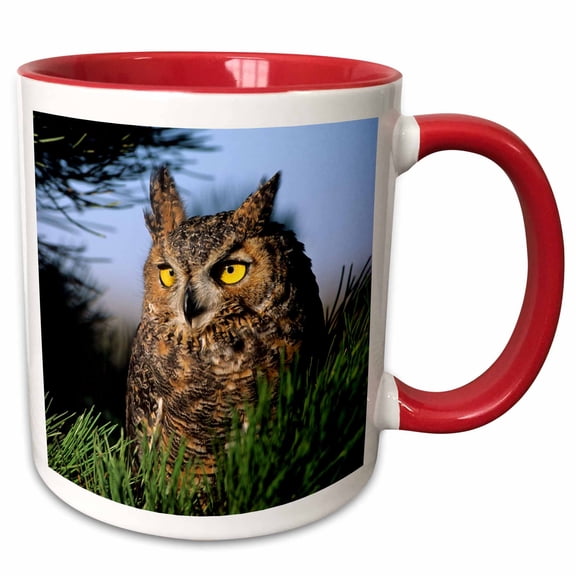3drose, Great Horned Owl, Bubo Virginianus, in Pine Tree, Colorado, 11oz Two-tone Red Mug
