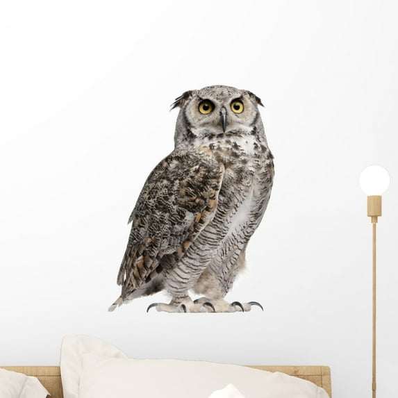 Great Horned Owl Bubo Wall Decal by Wallmonkeys Peel and Stick Graphic (18 in H x 16 in W) WM68454