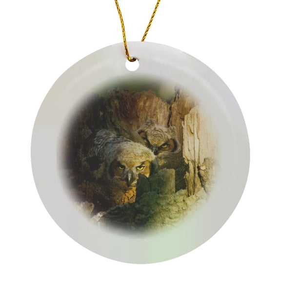 3drose, Great Horned Owls at Nest Site in Defiance, Ohio, Usa - Us36 Cha0047 - Chuck Haney, Circle Porcelain Ornament