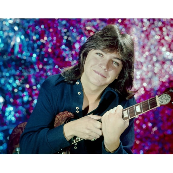 Great Images David Cassidy 24x36 inch rolled poster