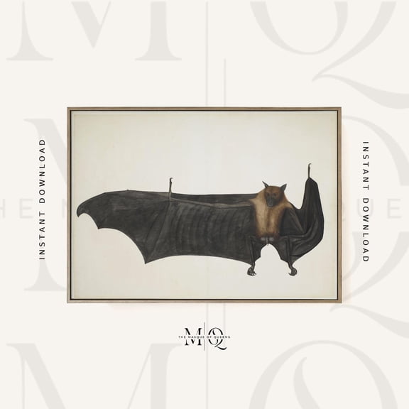 Great Indian Fruit Bat Print, Unframed Paper Poster 8x10in