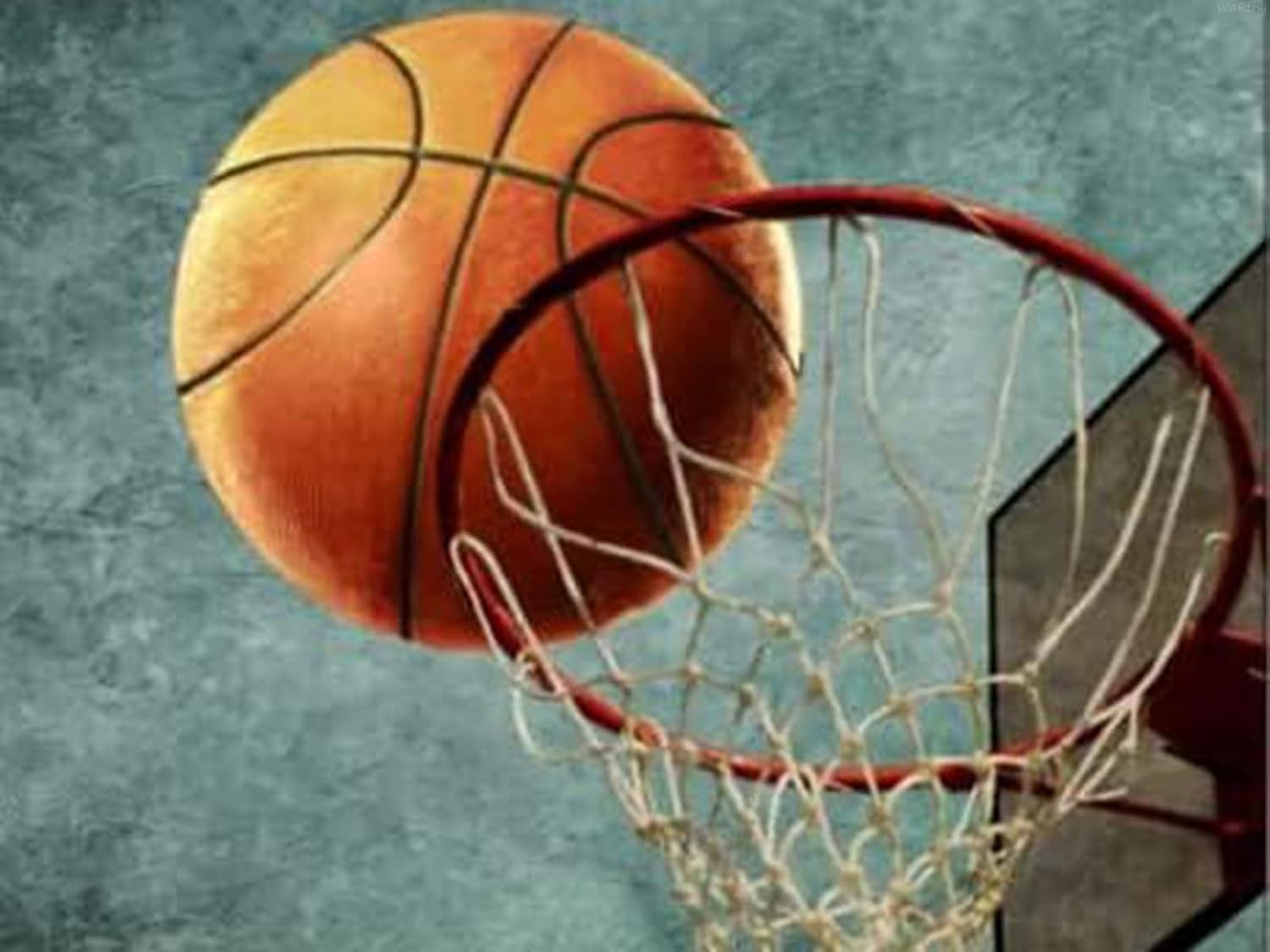 300 Piece Great Dane Jigsaw Puzzle For Adults - Woodboard Family Puzzles