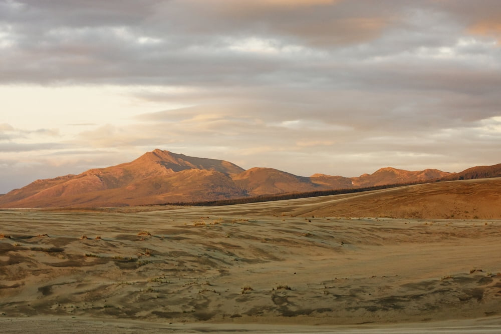 The Great Kobuk Sand Dunes Under An Arctic Midnight Sunset Kobuk Valley National Park Northwest Alaska Arctic Summer Canvas Art - Doug Demarest  Design Pics (38 x 24)