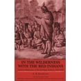 thumbnail image 1 of Great Lakes Books In the Wilderness with the Red Indians: German Missionary to the Michigan Indians, 1847-1853, (Paperback), 1 of 1