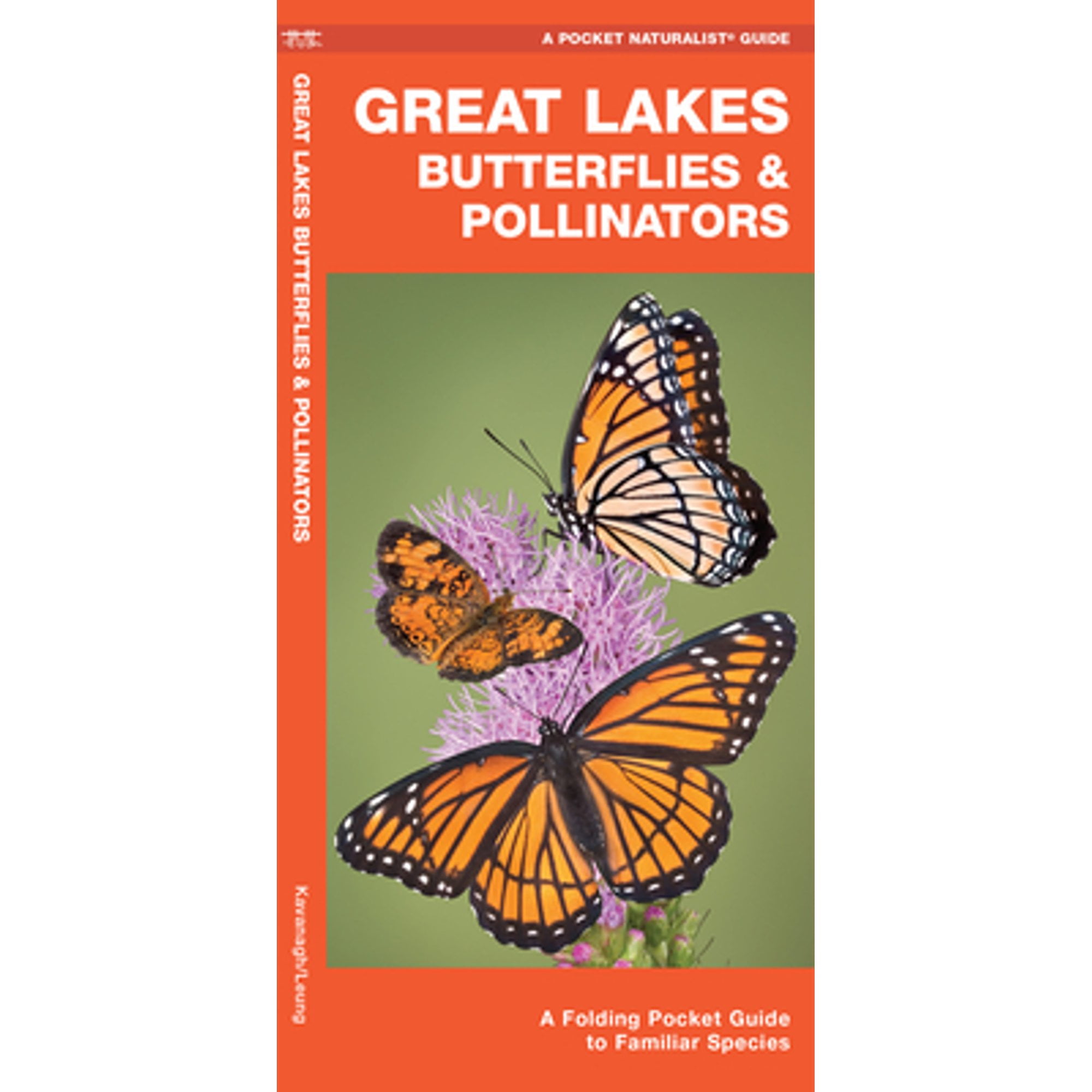 JAMES KAVANAGH Great Lakes Butterflies & Pollinators : A Folding Pocket Guide to Familiar Species (Other)