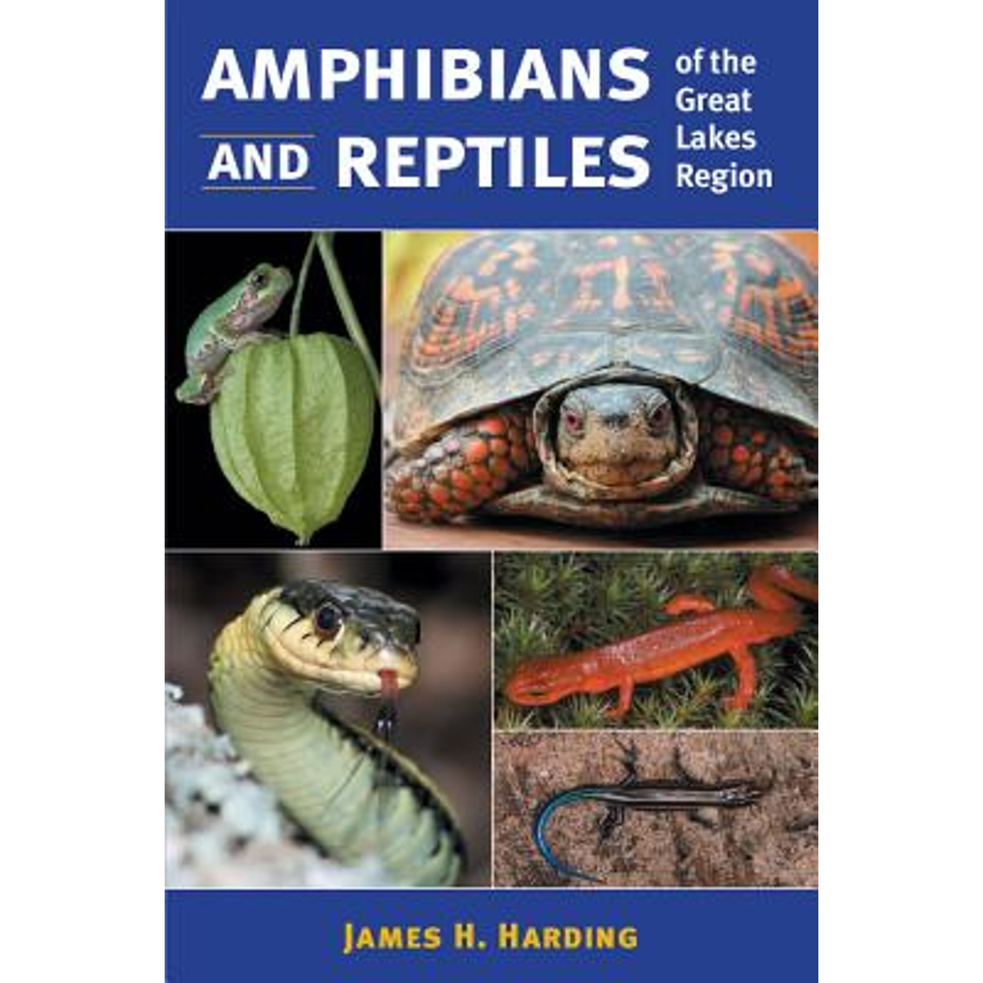 Great Lakes Environment: Amphibians and Reptiles of the Great Lakes ...