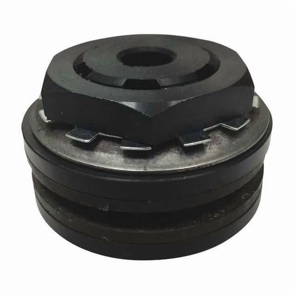 Torque Limiter,3/4in Bore Dia. 250 x .750