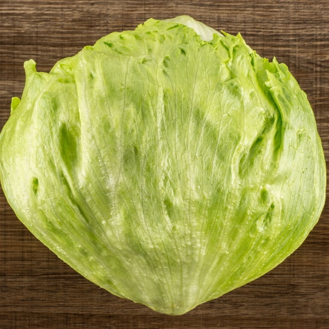 Great Lakes Mesa 659 Crisphead Lettuce Seeds – 4 Oz ~100,000 Seeds ...