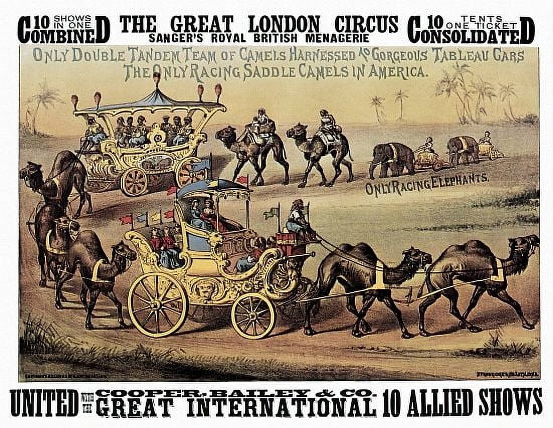 Great London Circus Camels On Parade Circus Canvas Art - (24 x 36)