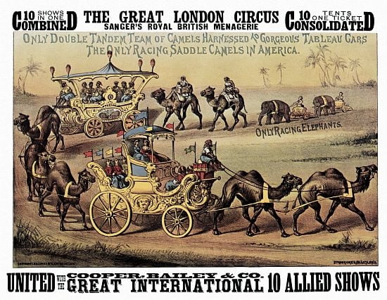 Great London Circus Camels On Parade Circus Canvas Art - (36 x 54)