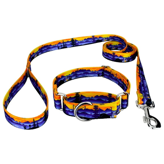 Country Brook Petz® Great Outdoors Martingale Dog Collar and Leash, Medium