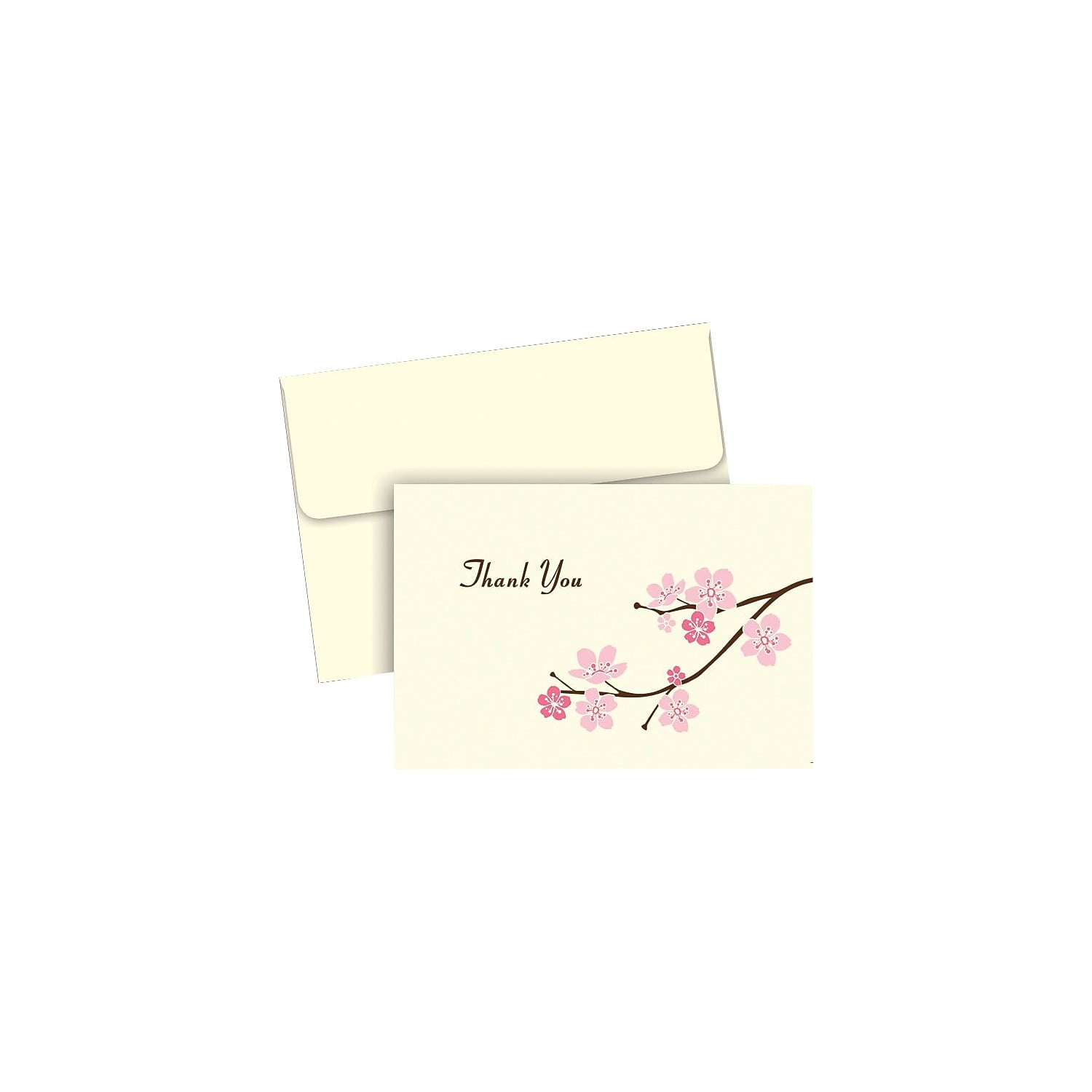 Great Papers! Blossom Branches Thank You 50 count 2012063