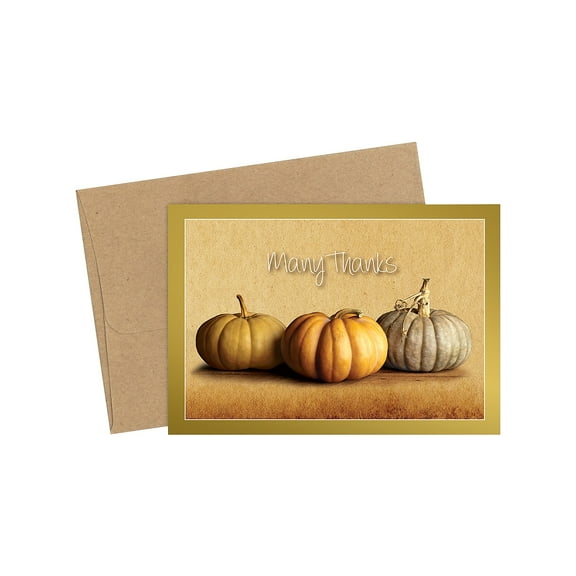 Great Papers! Fall Pumpkins Matte Personal Thank You Notecard Multicolor 50/Pack (2019092)