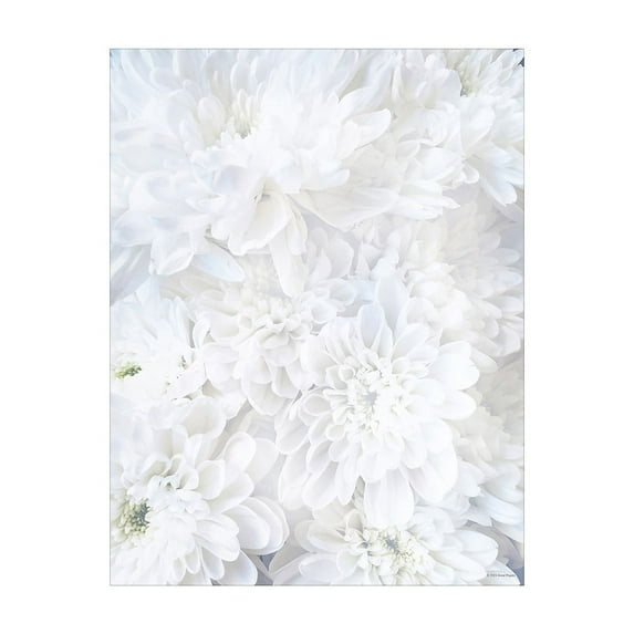Great Papers! White Soft Petals Stationery Letterhead, 8.5" x 11", 80 sheets, Inkjet and Laser Printer Compatible