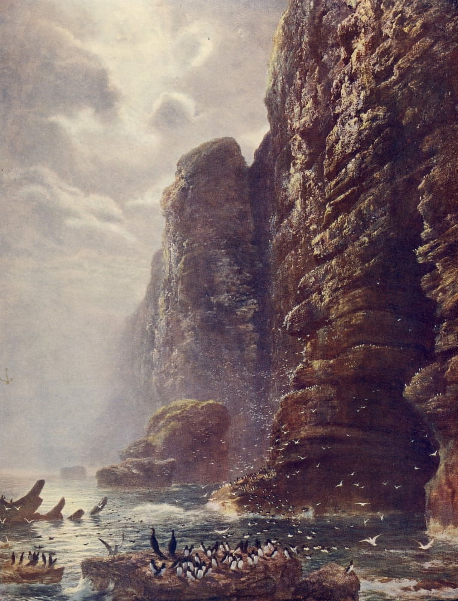 Great Pictures in Private Galleries 1905 Cradle of Sea Bird 1872 Canvas Art - Peter Graham (24 x 36)