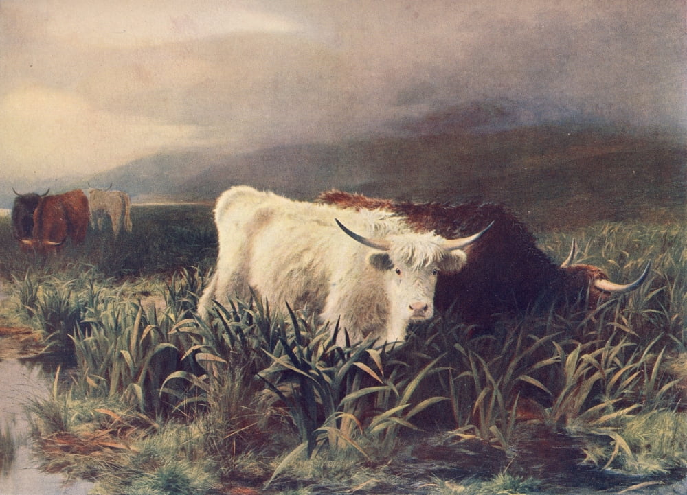 Great Pictures in Private Galleries 1905 Moorland Rovers 1876 Canvas Art - Peter Graham (24 x 36)