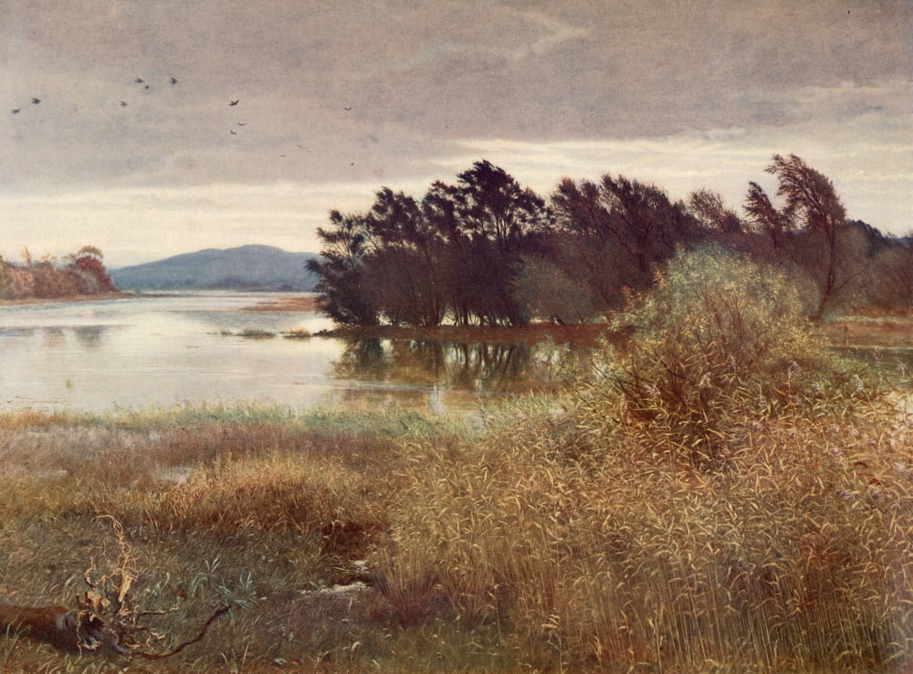 Great Pictures in Private Galleries 1905 Sedgy Den River Tay Canvas Art - John Everett Millas (18 x 24)