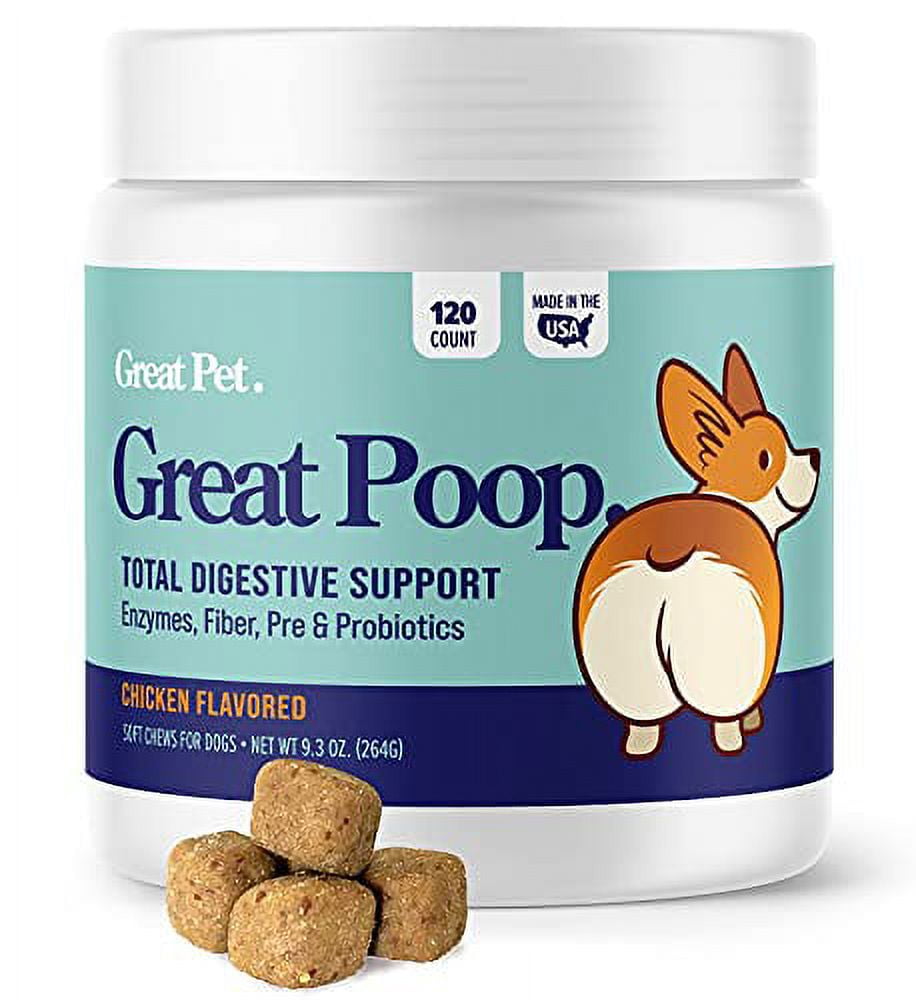 Best dog food for dogs with diarrhea sale