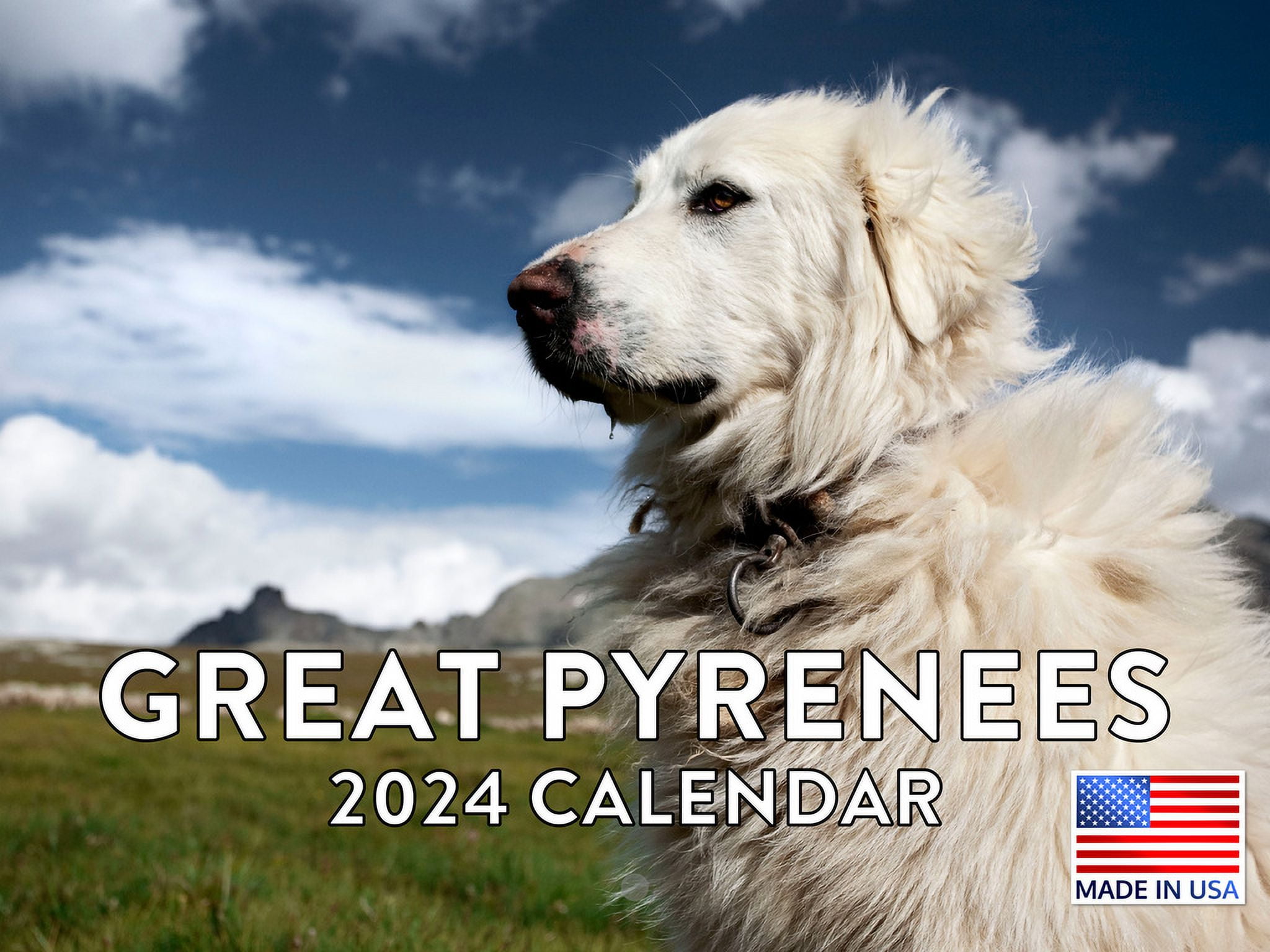 Great Pyrenees 2024 Wall Calendar Great Pyrenees 2024 Calendar
