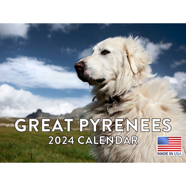 Great Pyrenees 2024 Wall Calendar Great Pyrenees 2024 Calendar