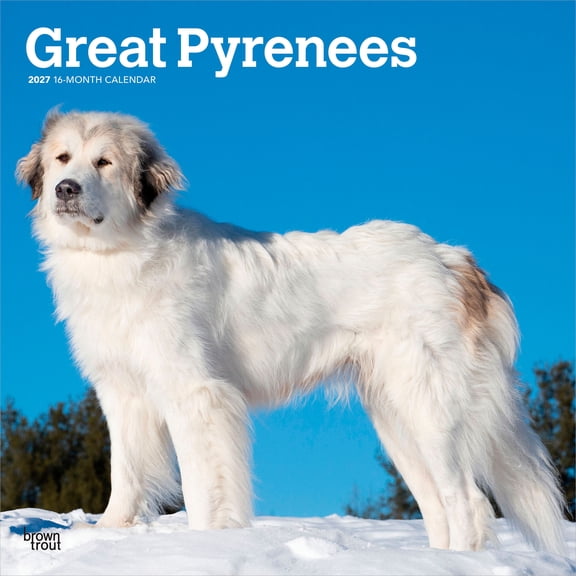 Great Pyrenees | 2027 12x24" (Hanging) Wall Calendar | Plastic-Free